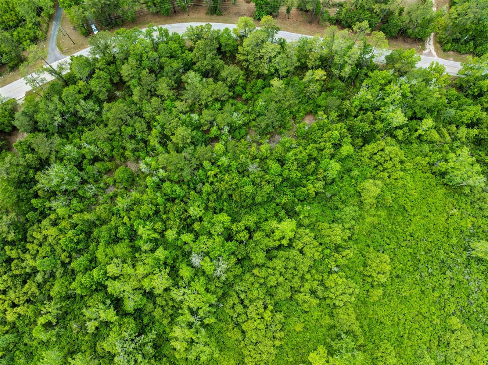 Image 6 of 16 For Culbreath Road