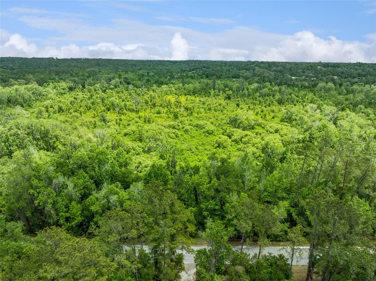 Image 8 of 16 For Culbreath Road