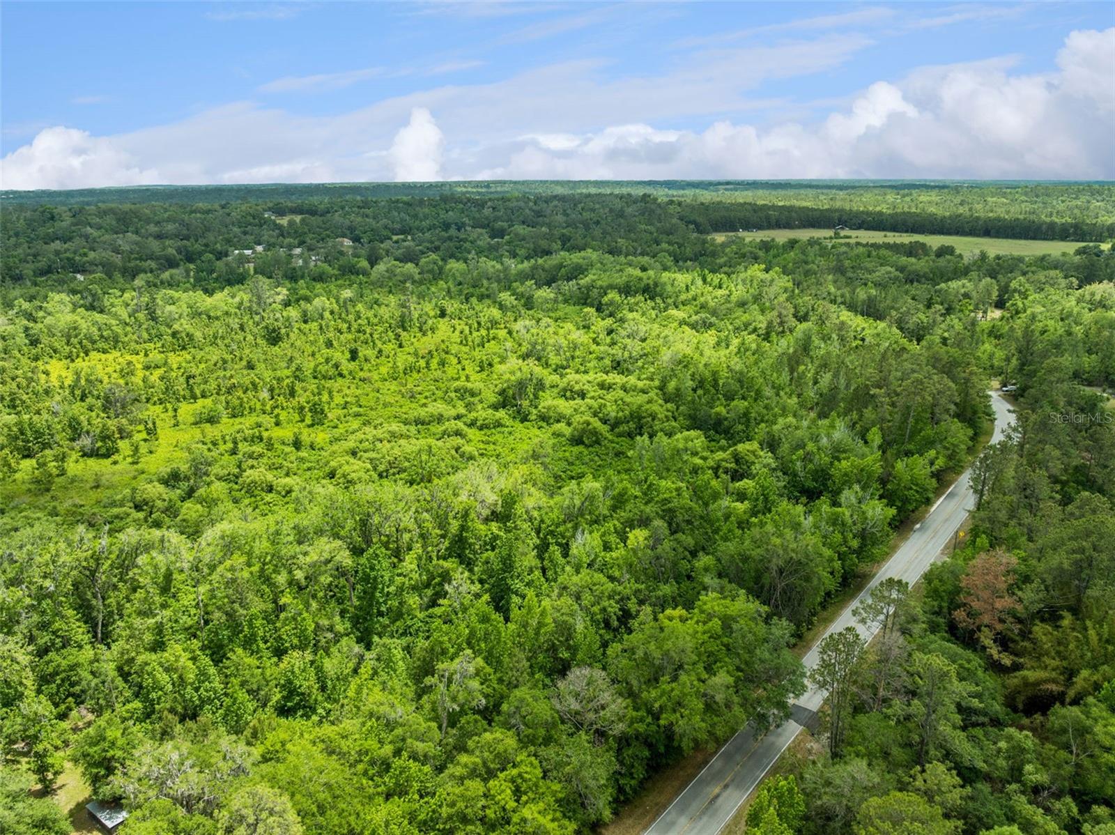 Image 9 of 16 For Culbreath Road