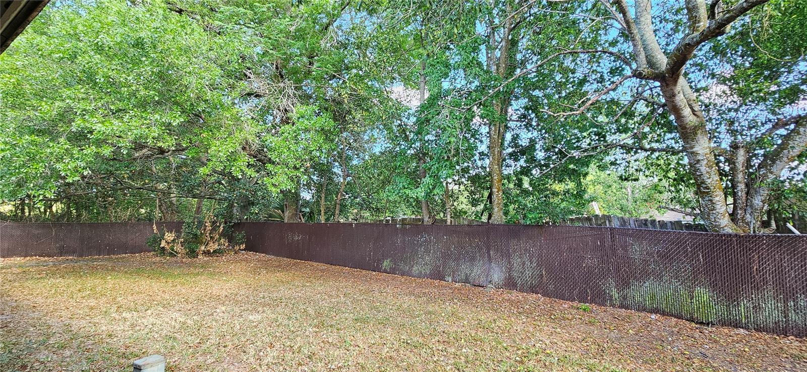 Image 17 of 17 For 259 Hill Street 259