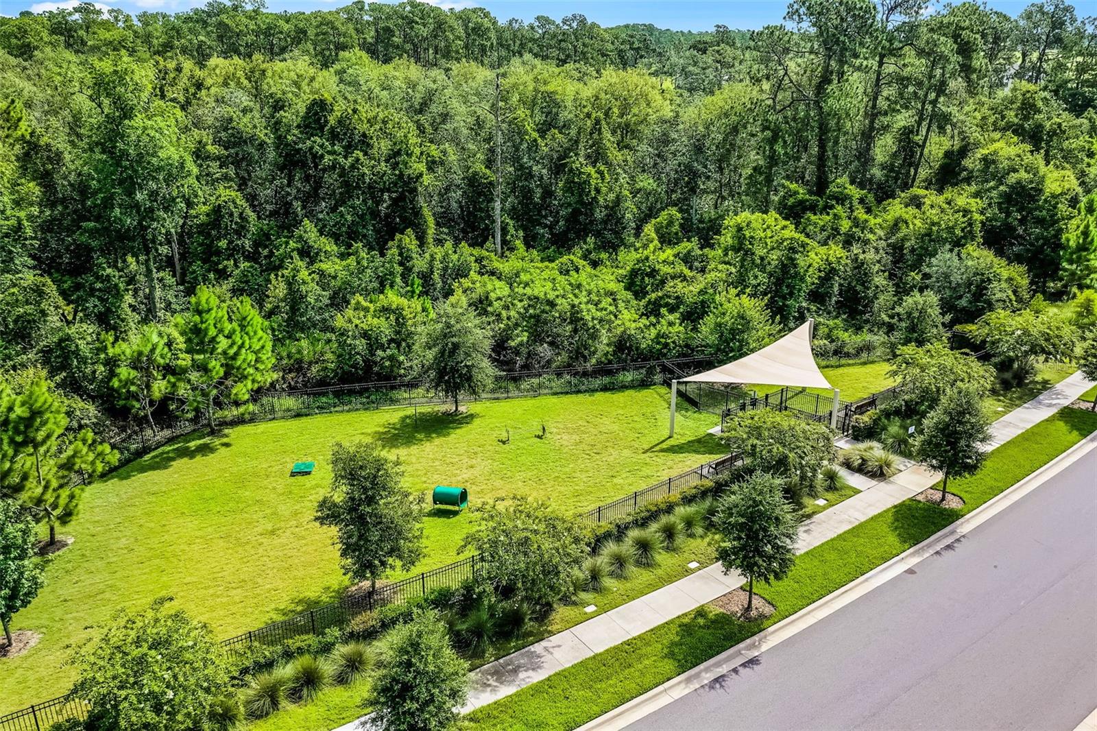 Image 39 of 42 For 17412 Honeybell Tangelo Court