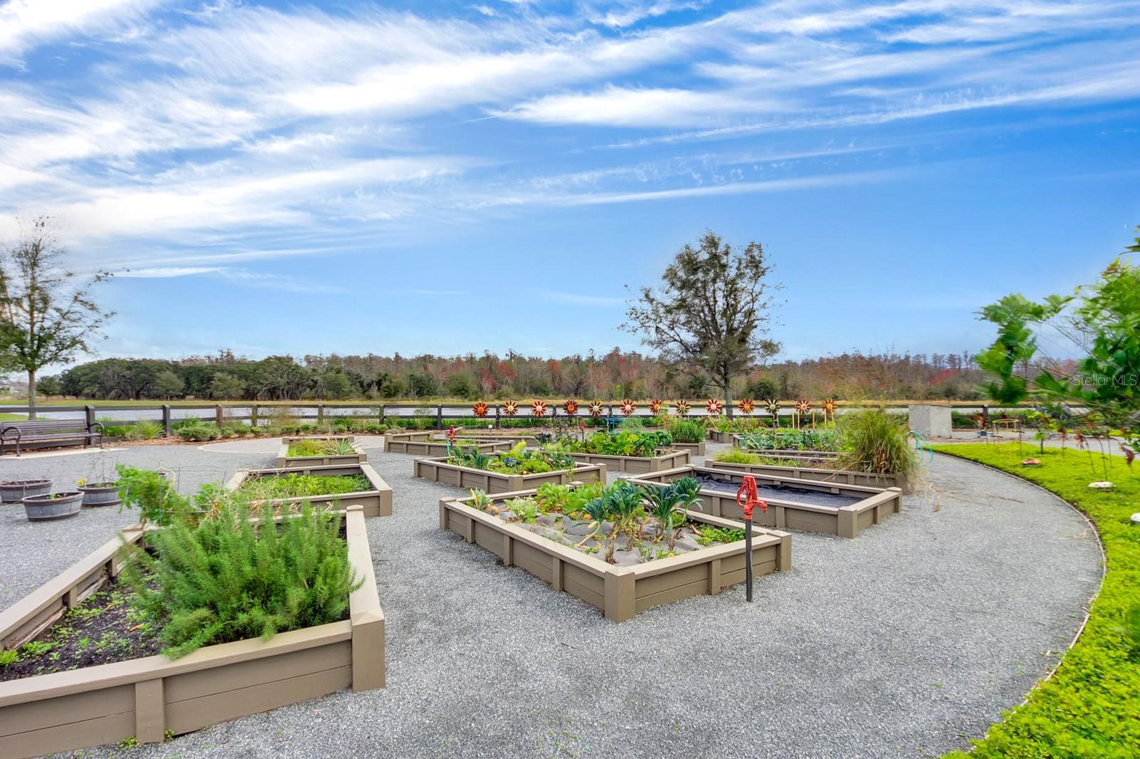 Image 47 of 56 For 9044 Tavistock Lakes Boulevard
