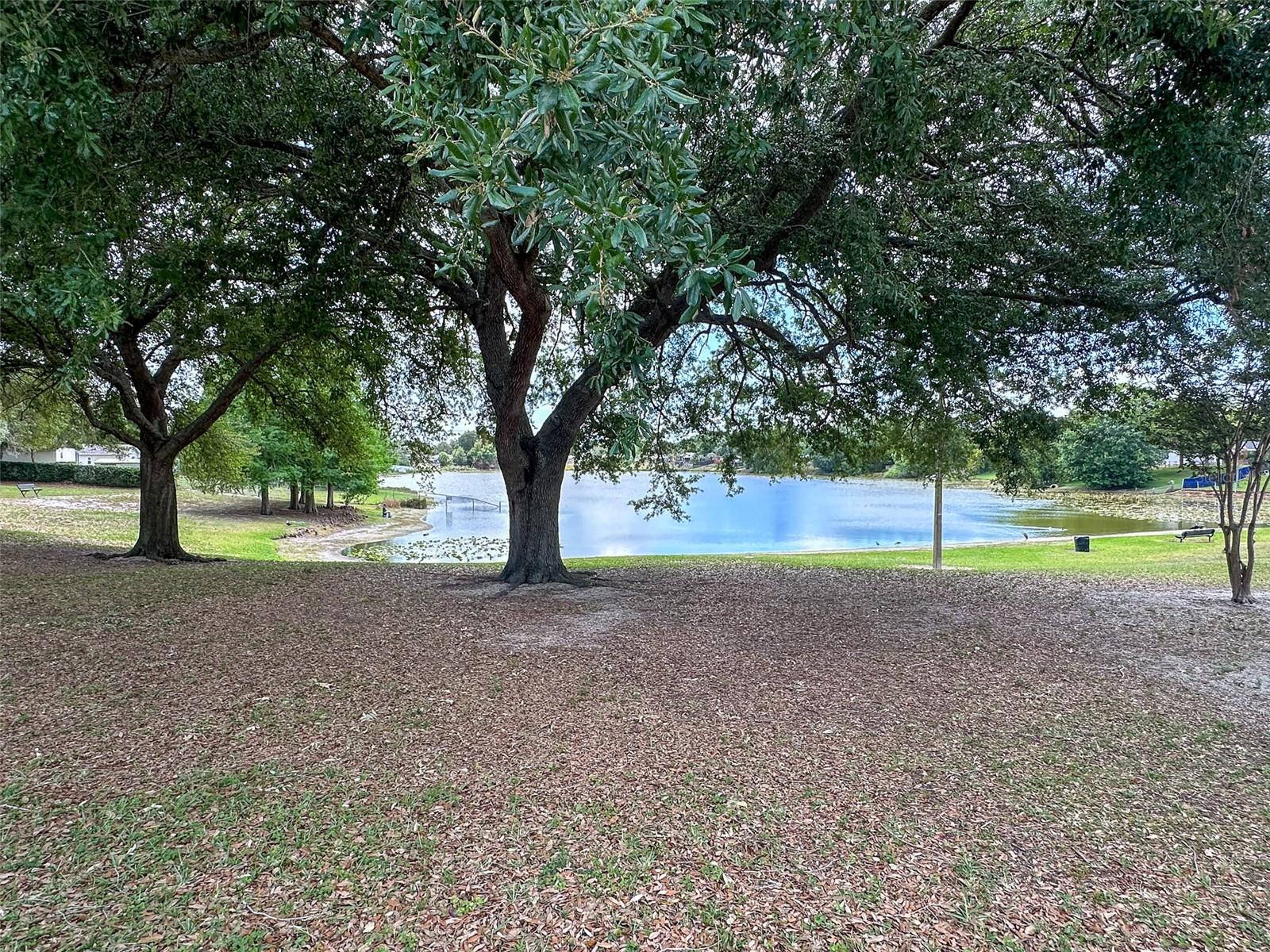 Image 30 of 34 For 900 Jamela Drive