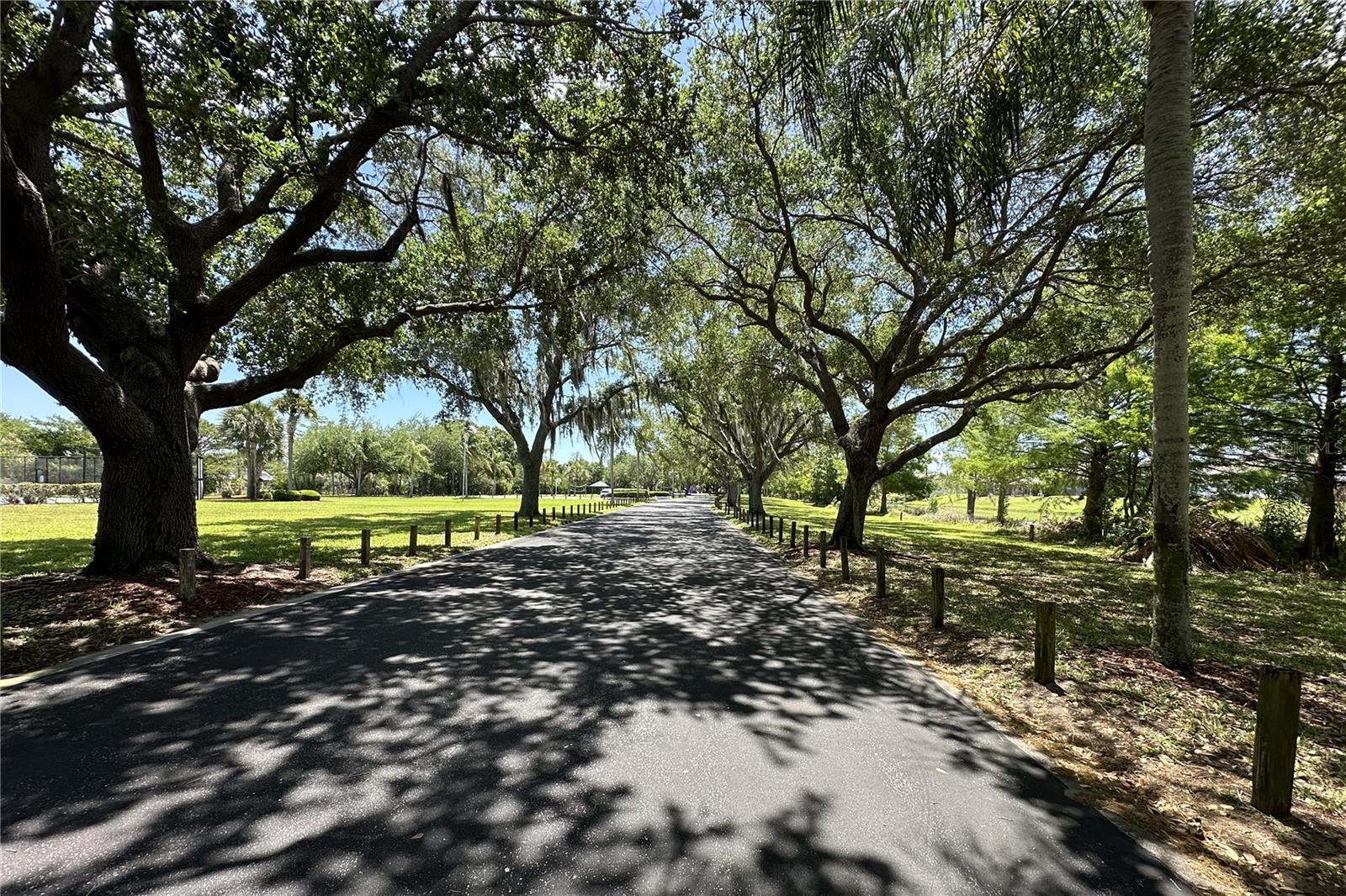 Listing photo id 37 for 3621 Tipperary Drive