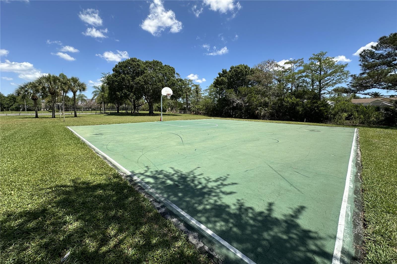 Listing photo id 42 for 3621 Tipperary Drive
