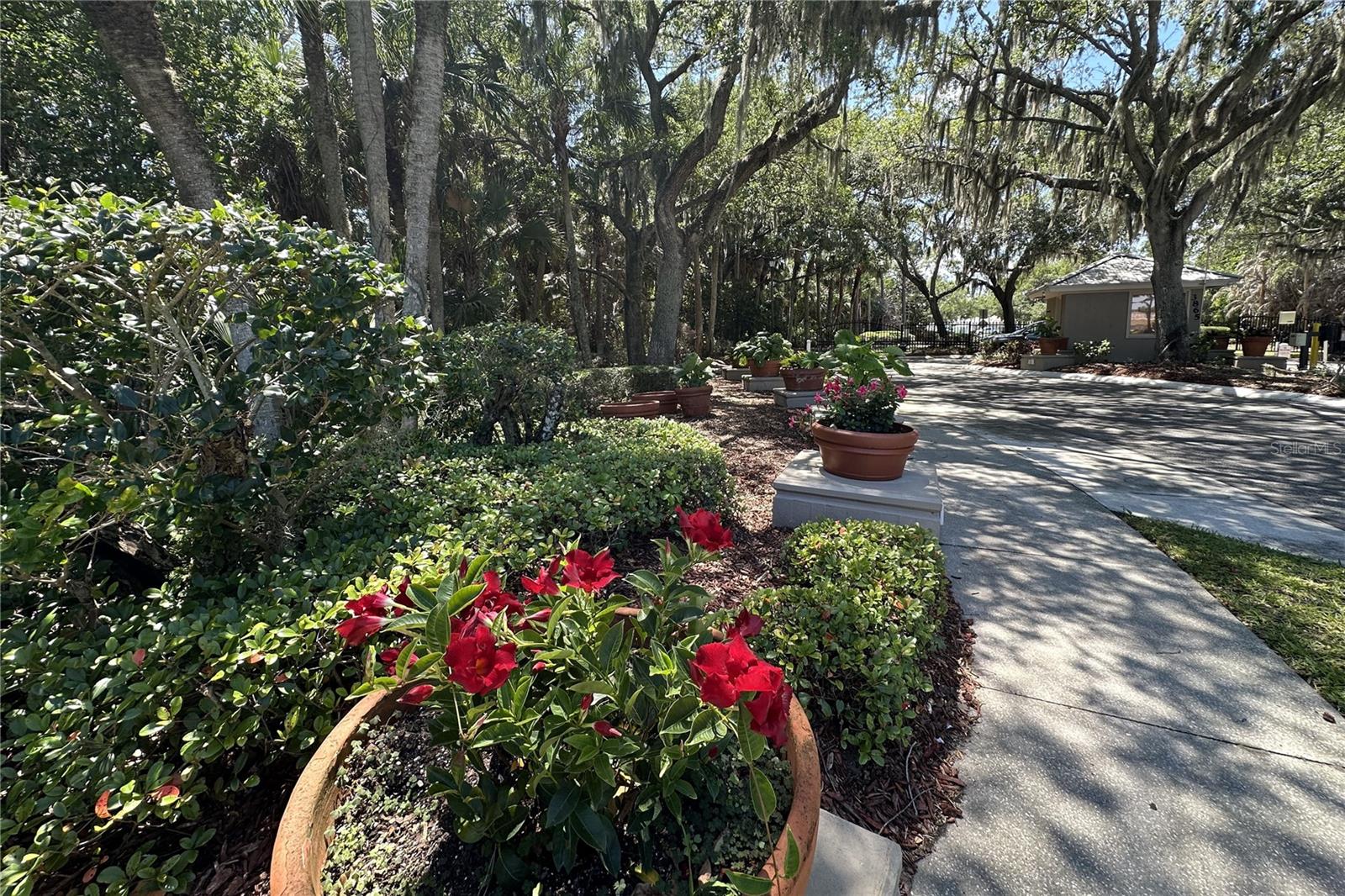 Listing photo id 50 for 3621 Tipperary Drive
