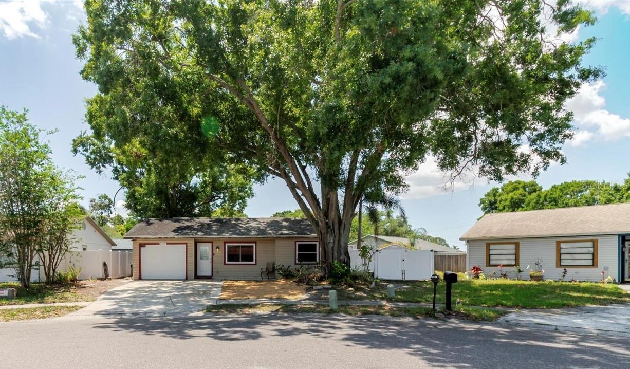 Details for 2009 Peppertree Court, OLDSMAR, FL 34677