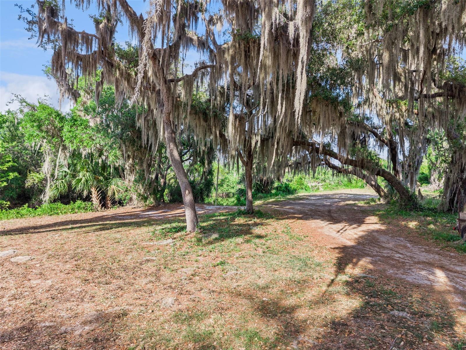 Image 15 of 44 For 35401 Willow Circle