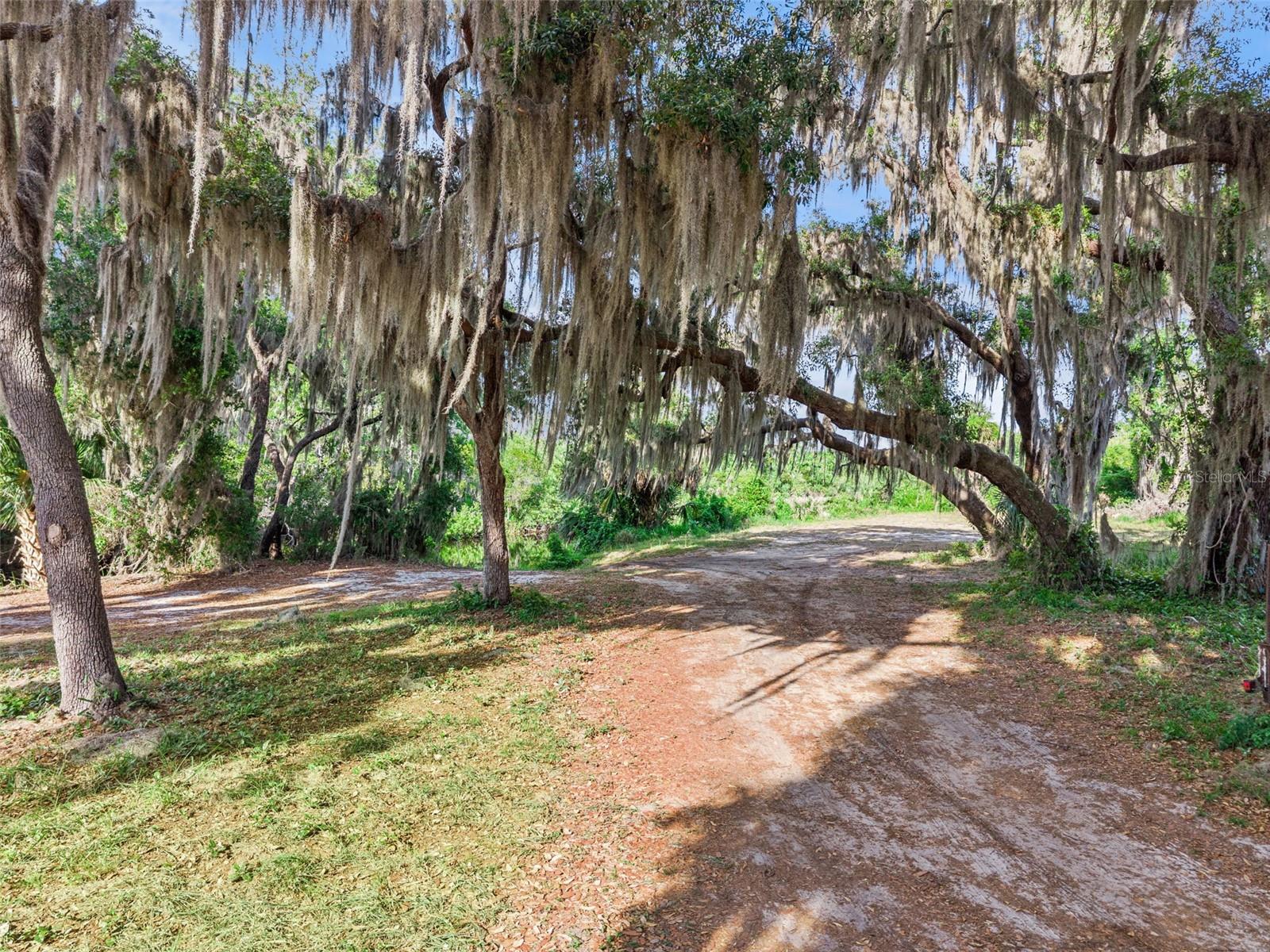 Image 43 of 44 For 35401 Willow Circle
