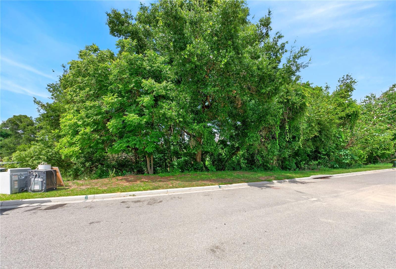 Details for E Minneola Avenue, CLERMONT, FL 34711