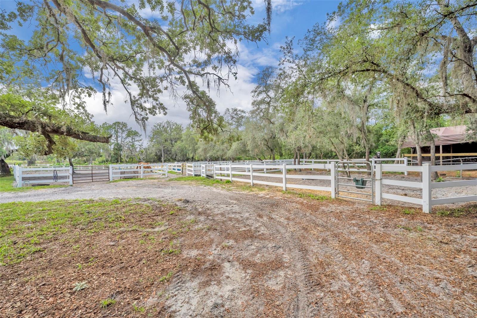 Image 18 of 43 For 3287 County Road 426