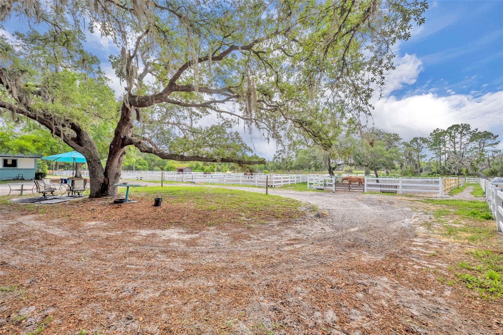 Image 19 of 43 For 3287 County Road 426