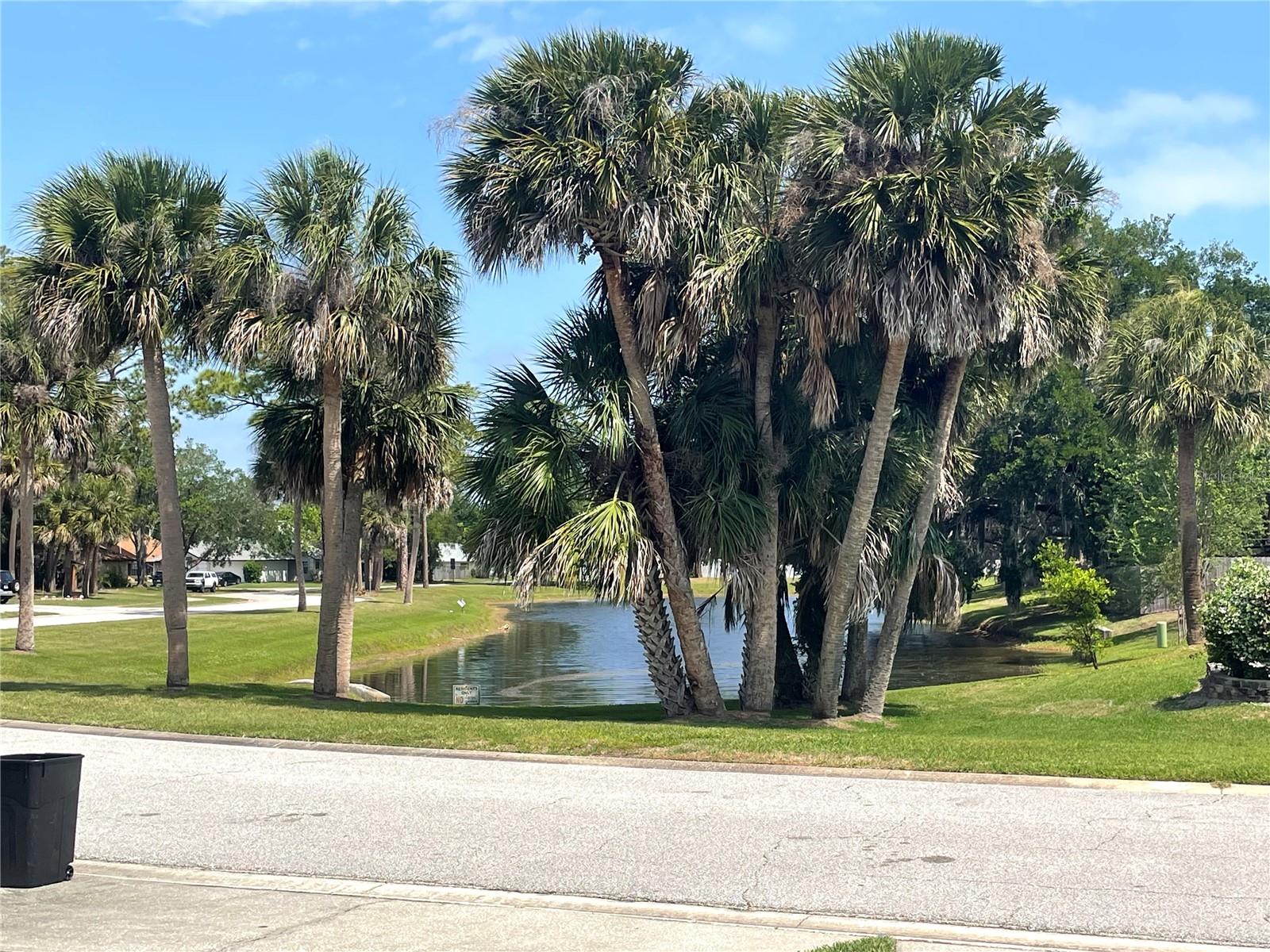 Image 68 of 74 For 4552 Rockledge Lane