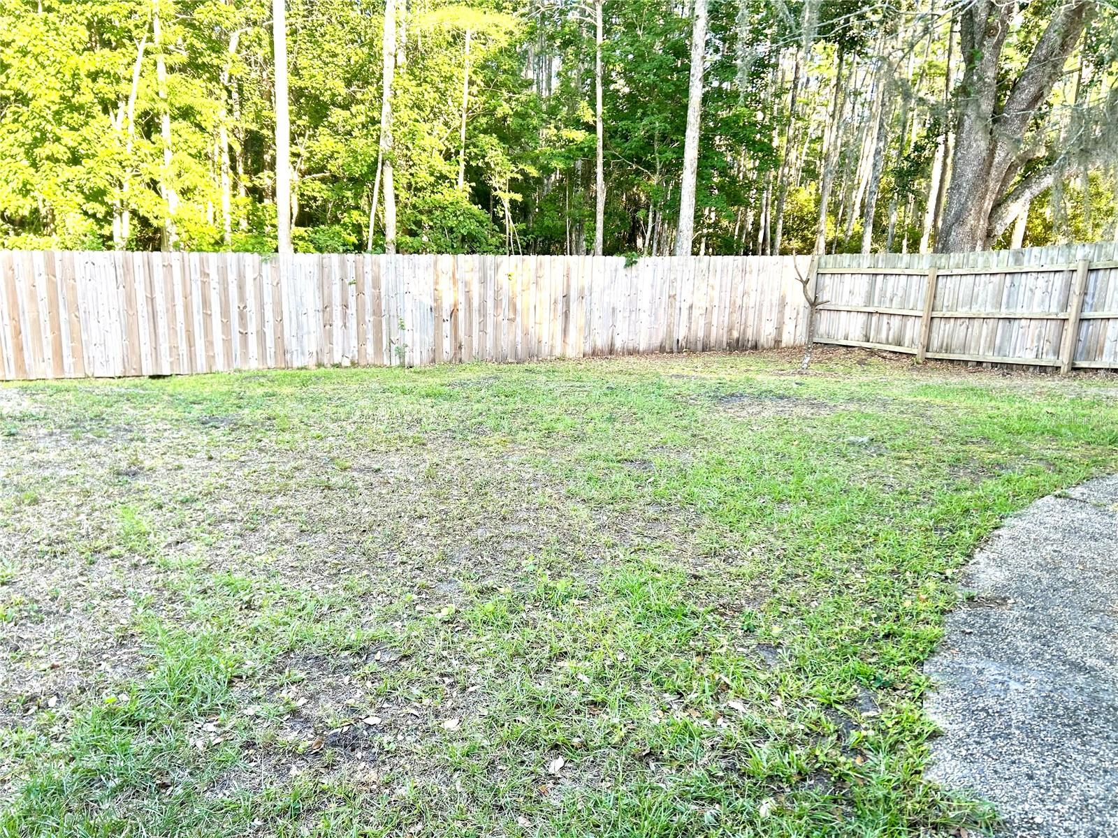 Listing photo id 63 for 1729 Buckhorn Place