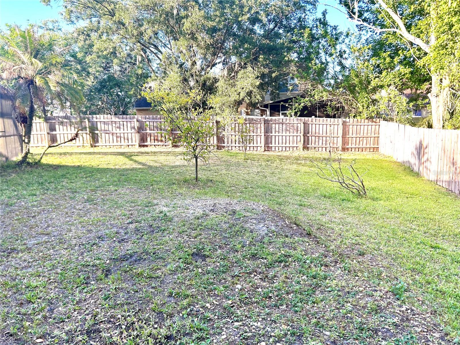 Listing photo id 64 for 1729 Buckhorn Place