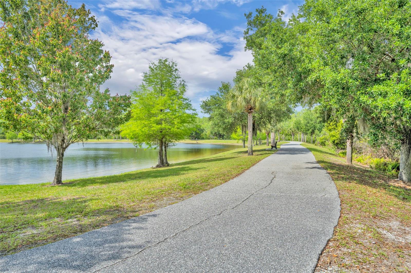 Listing photo id 32 for 8804 Lovett Avenue