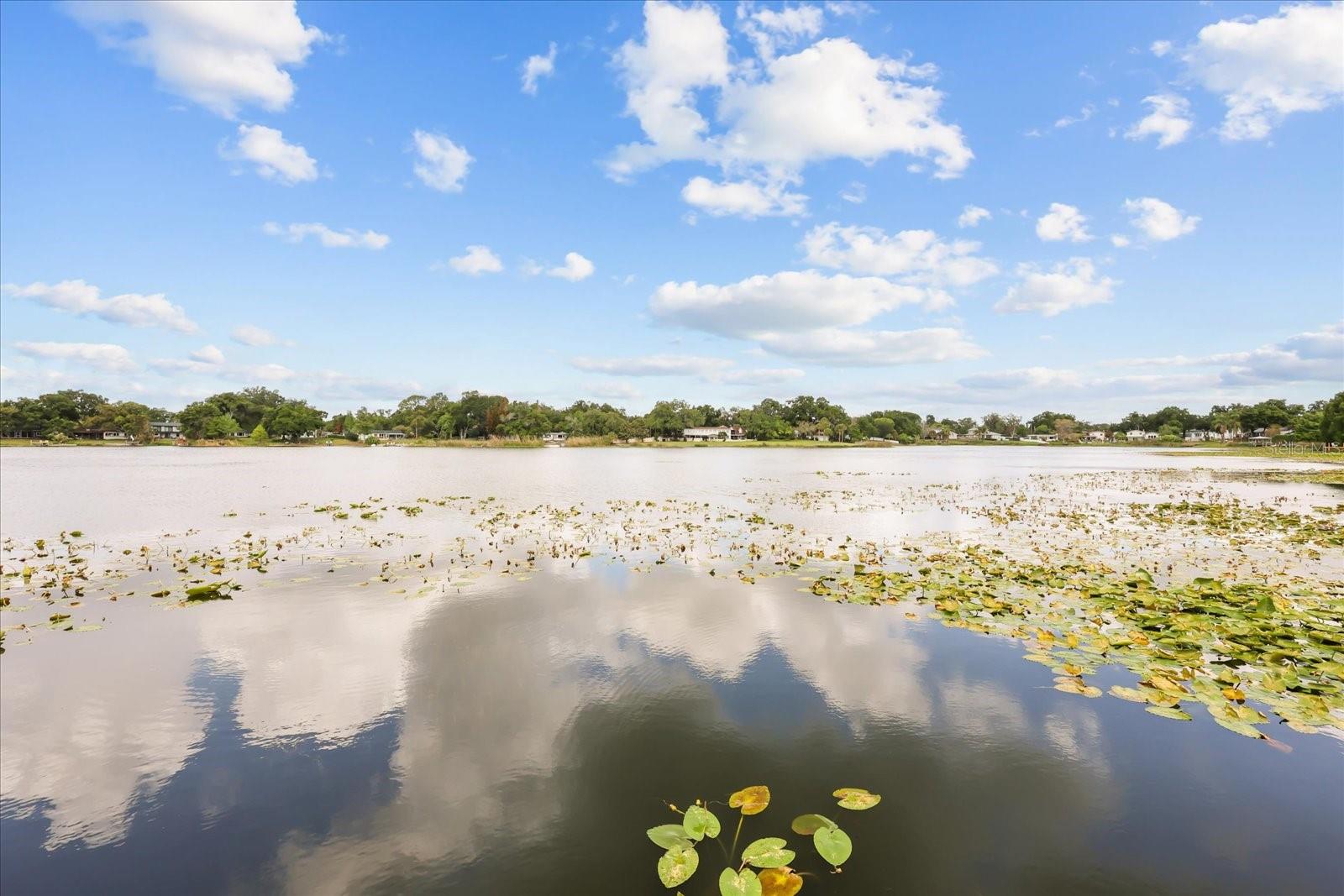 Listing photo id 25 for 2822 Bass Lake Boulevard