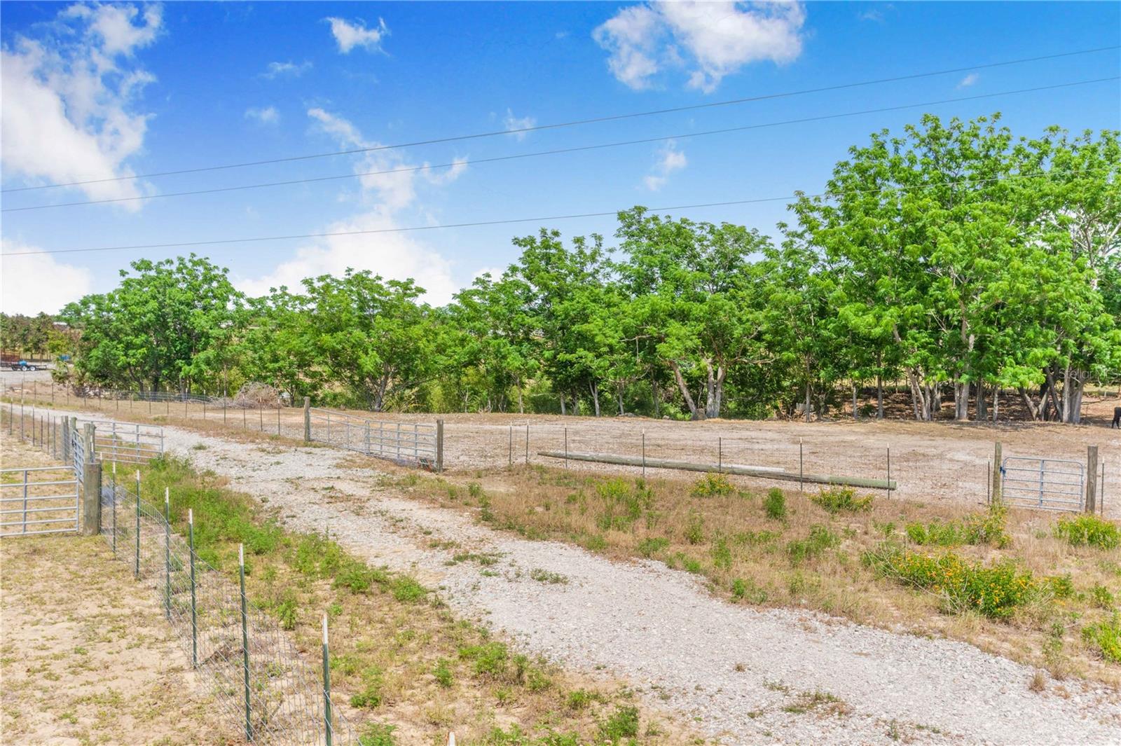 Image 4 of 21 For Lake Hatchineha Road