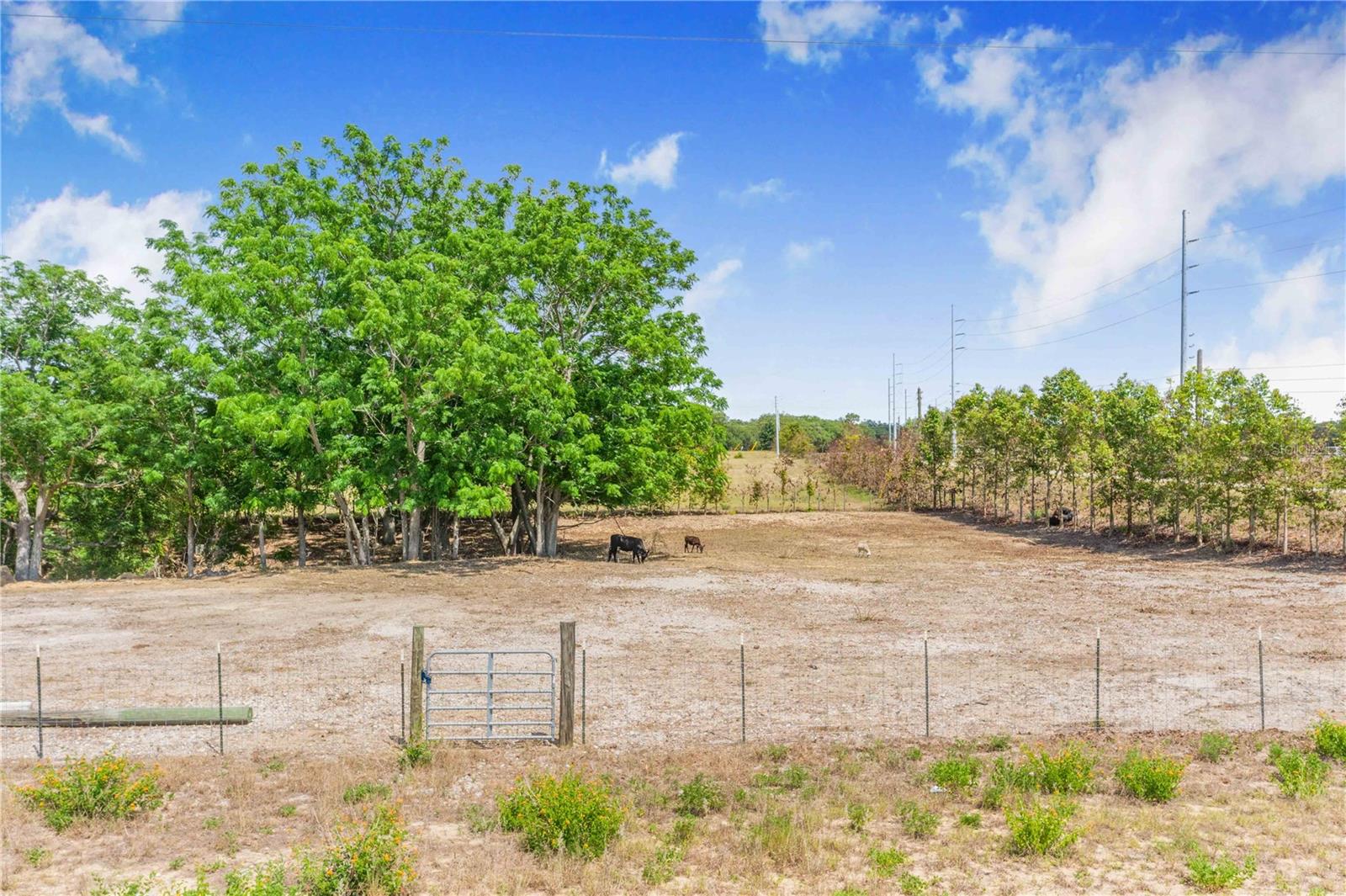 Image 5 of 21 For Lake Hatchineha Road