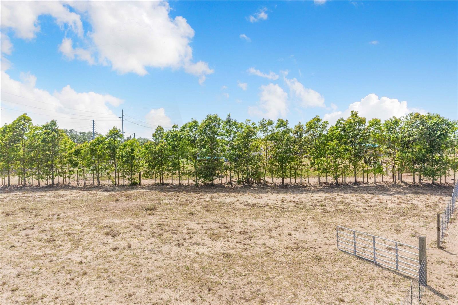 Image 6 of 21 For Lake Hatchineha Road