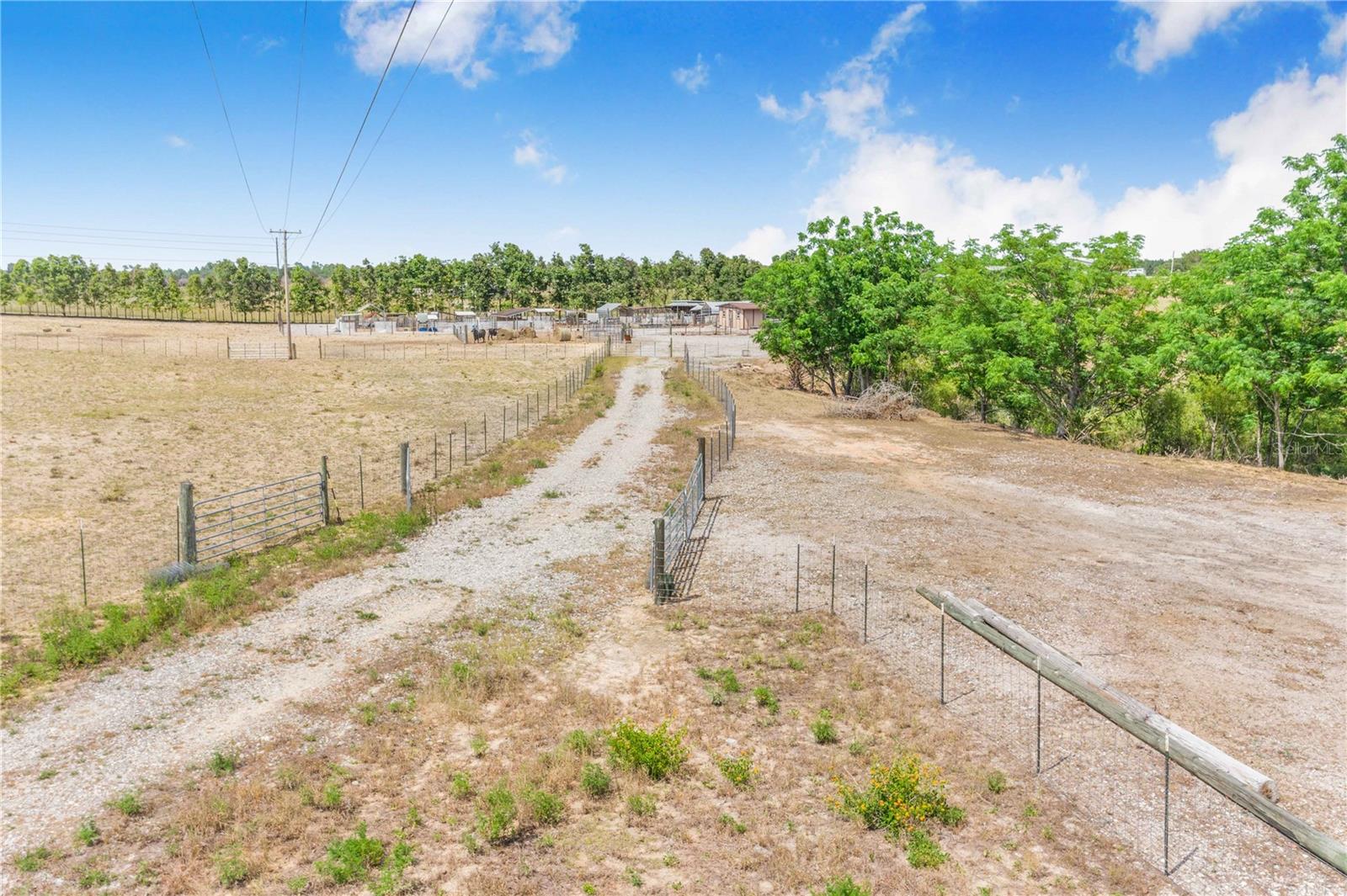 Image 7 of 21 For Lake Hatchineha Road