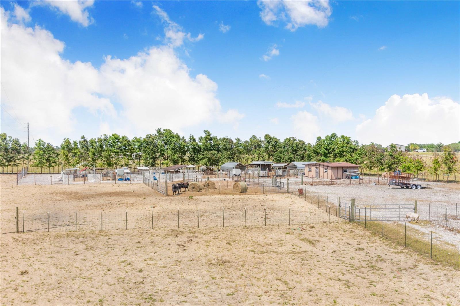 Image 8 of 21 For Lake Hatchineha Road