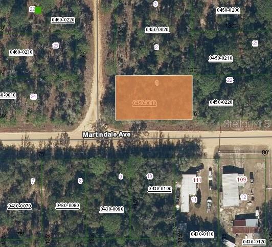 Details for Lot 1 Martinedale Avenue, INTERLACHEN, FL 32148