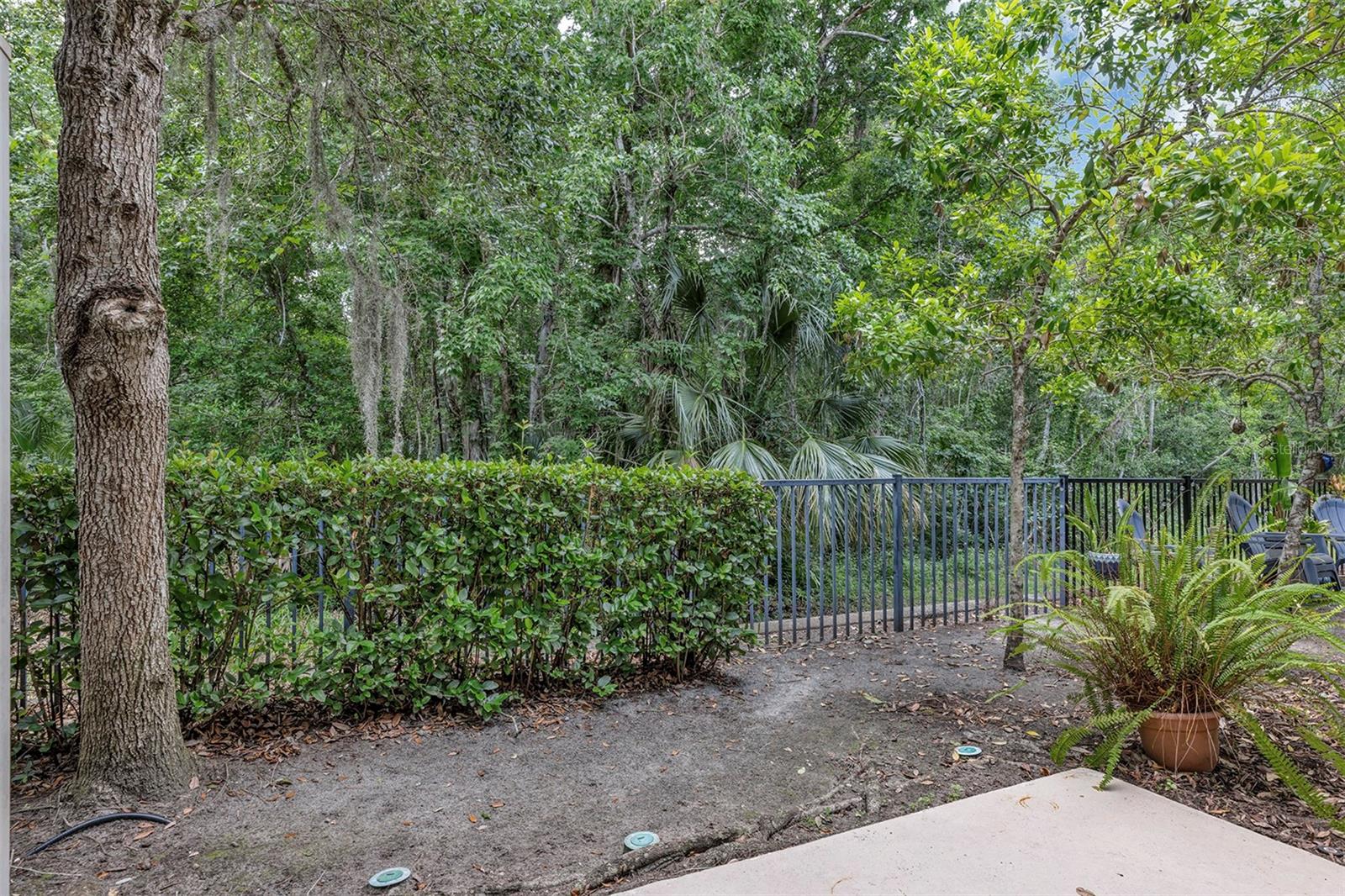 Image 39 of 58 For 438 Reed Grass Drive