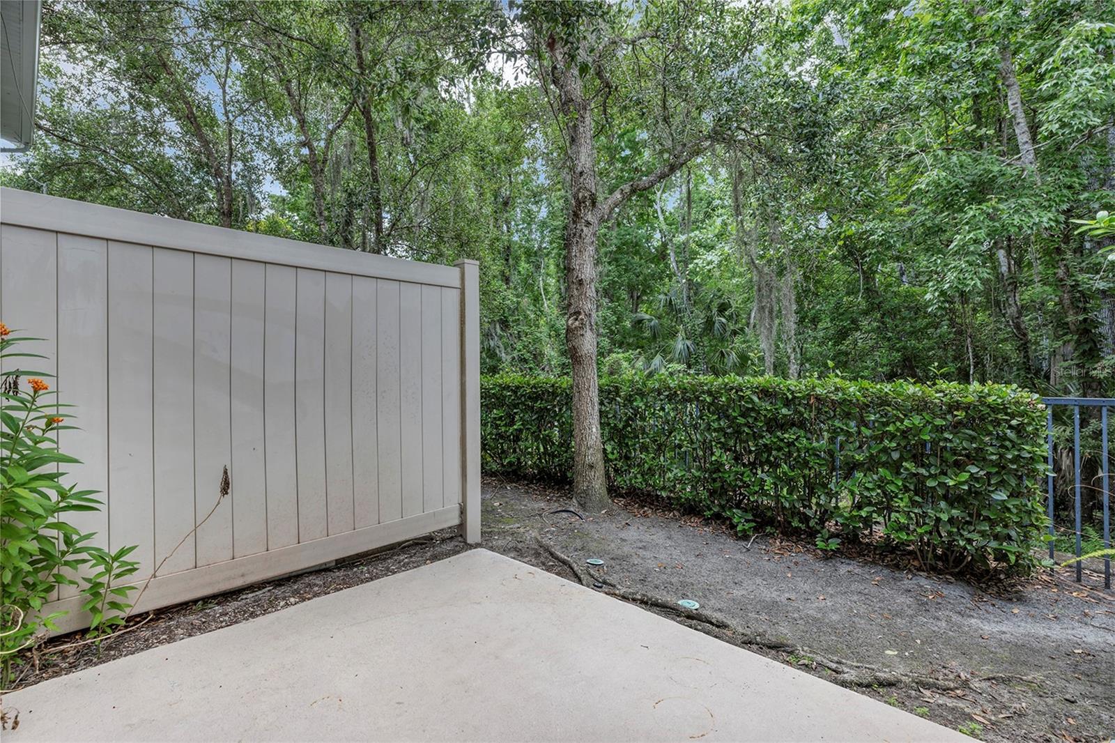 Image 40 of 58 For 438 Reed Grass Drive