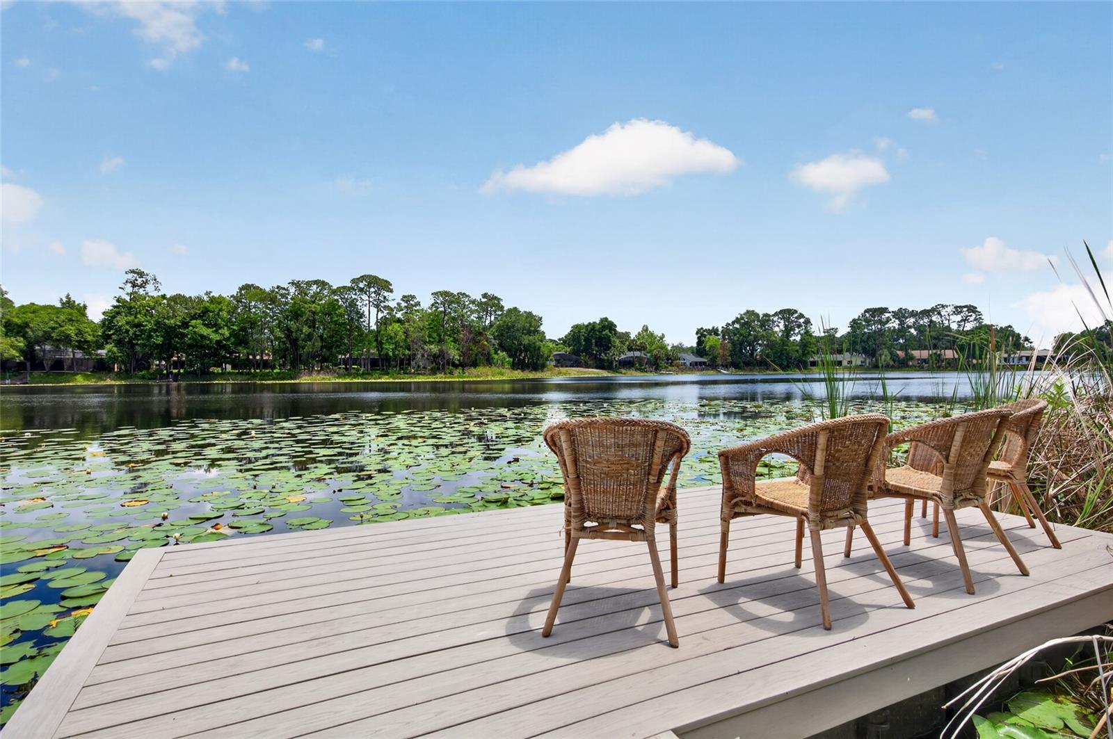 Image 37 of 45 For 8243 Riviera Shore Court