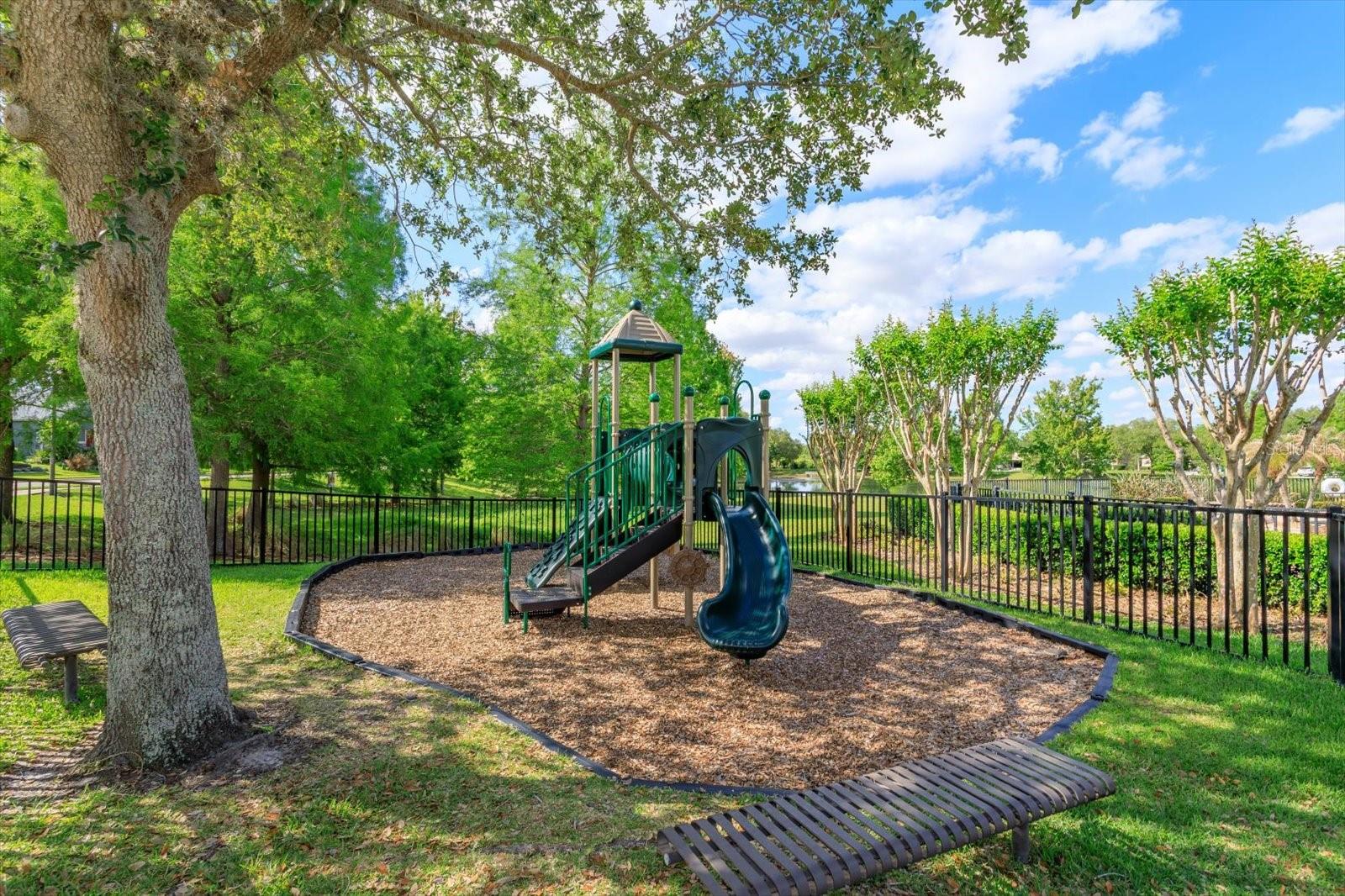 Image 22 of 31 For 833 Bending Oak Trail