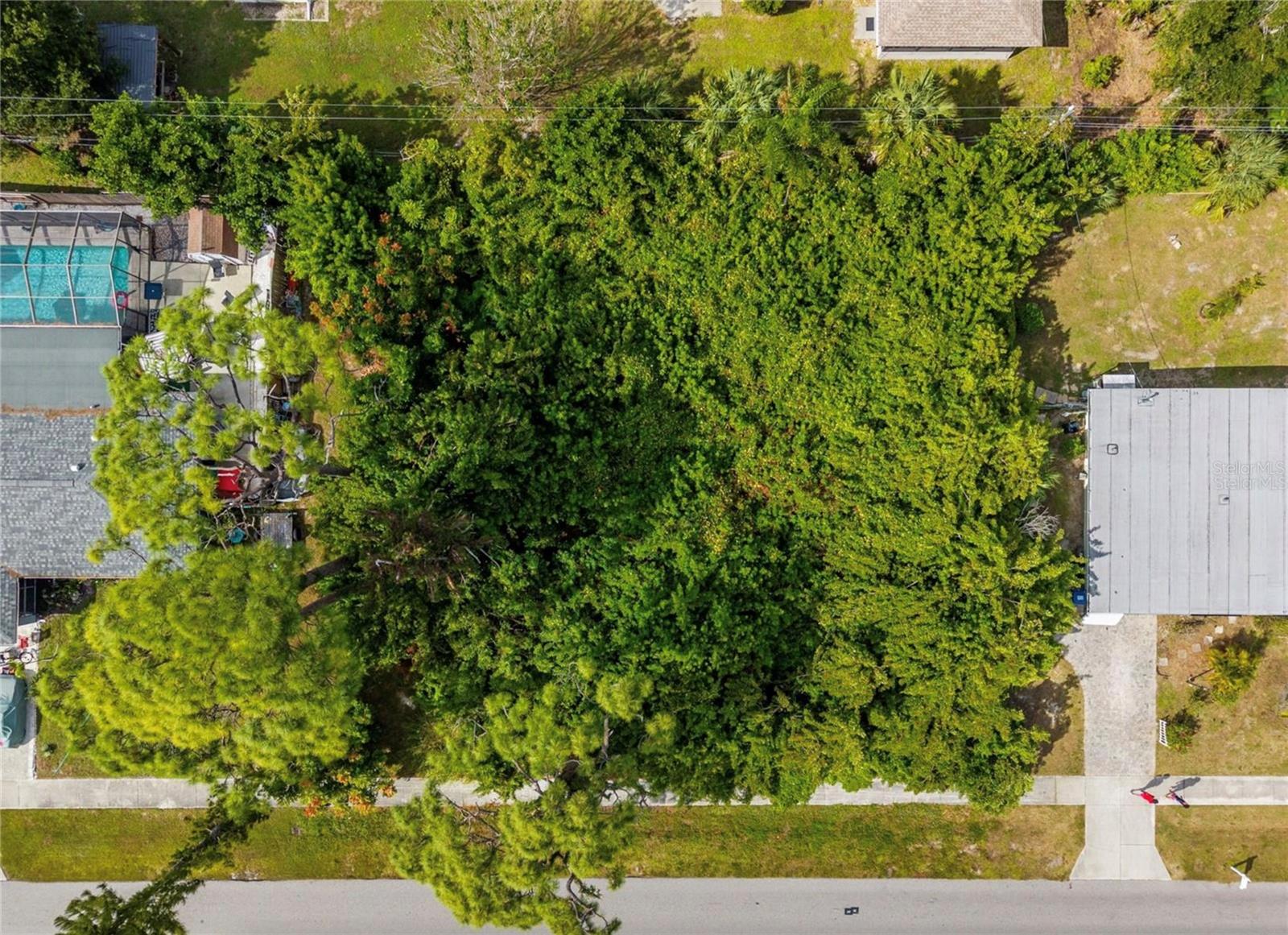 Image 5 of 10 For 31 Seminole Drive