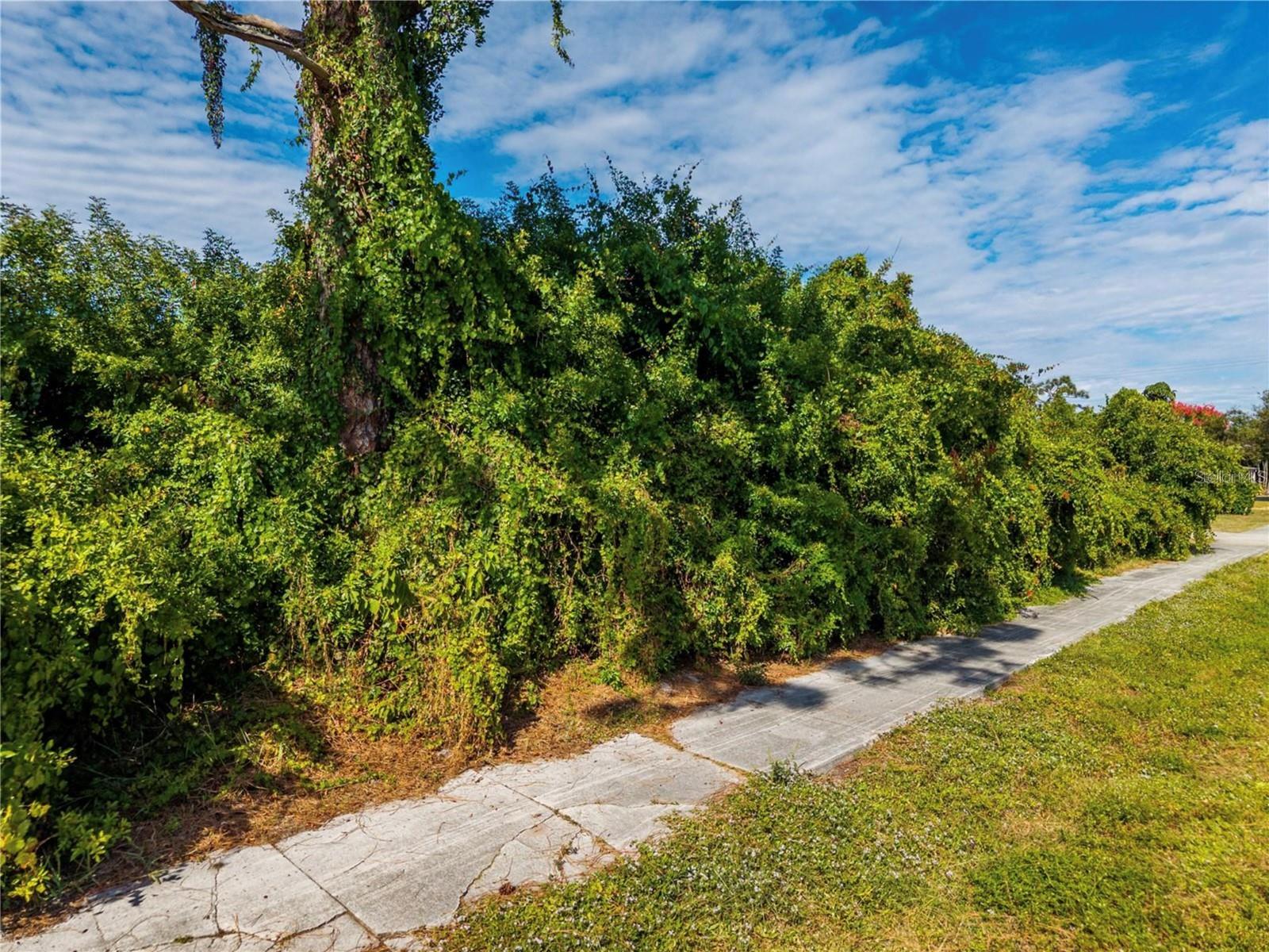 Image 9 of 10 For 31 Seminole Drive
