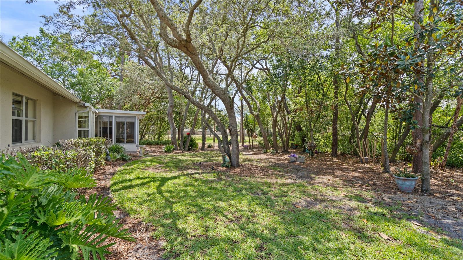 Image 54 of 63 For 9072 Woodbreeze Boulevard