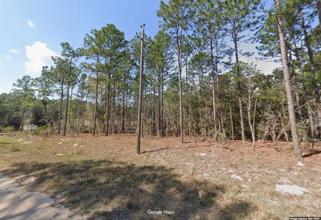 Details for 128th Terrace Road, OCALA, FL 34481