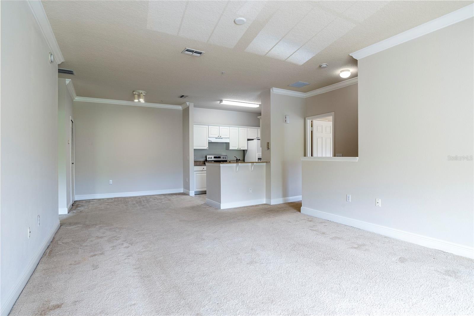 Image 9 of 15 For 417 Southern Pecan Circle 205