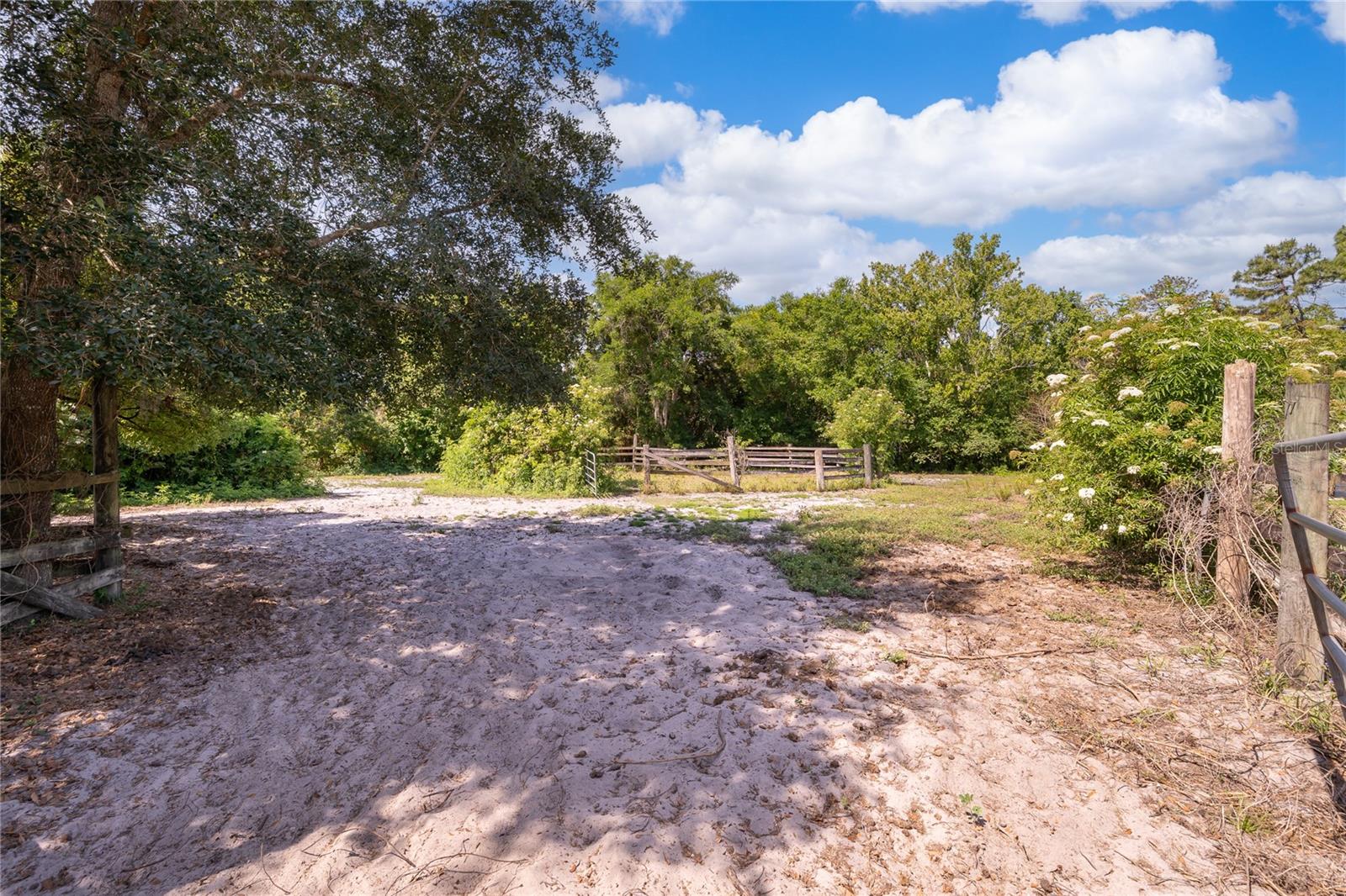 Listing photo id 37 for 1281 Natures Way