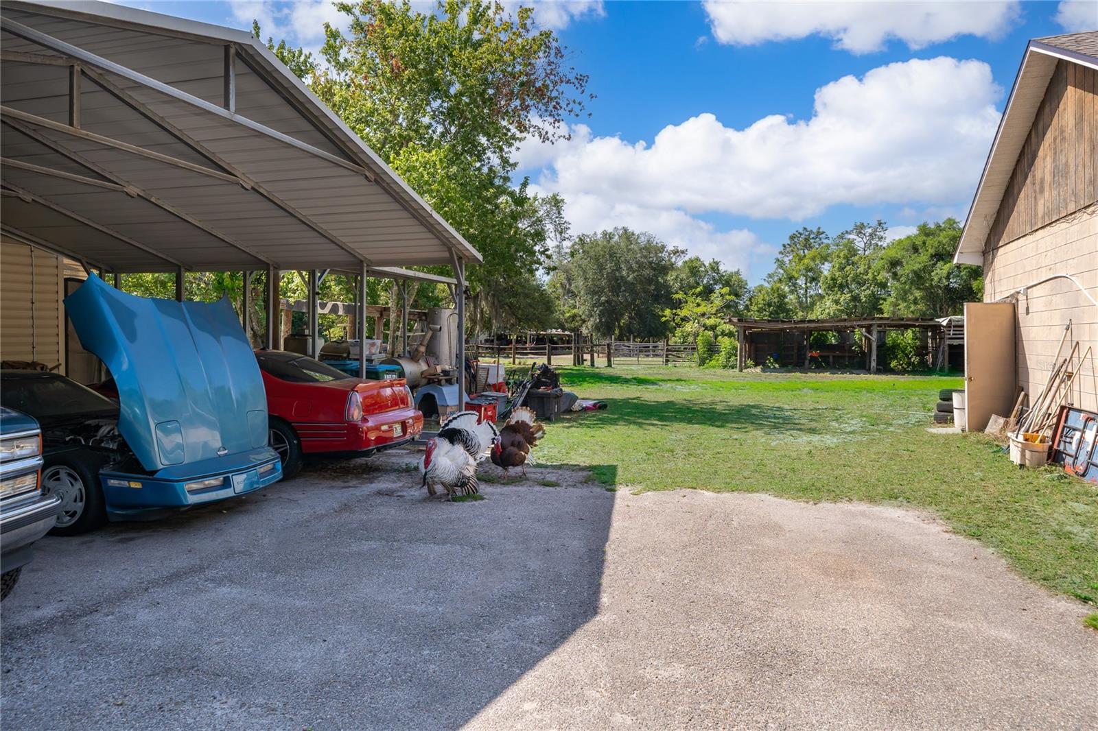 Listing photo id 7 for 1281 Natures Way