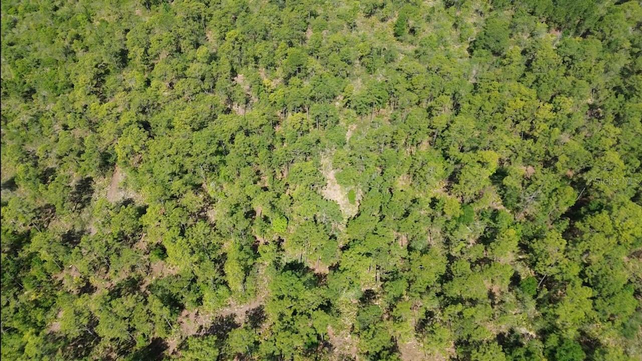 Image 4 of 9 For Apopka Vineland Road