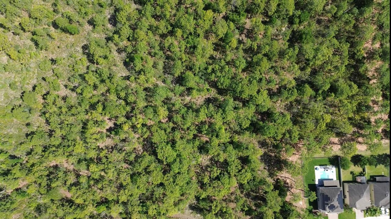Image 7 of 9 For Apopka Vineland Road