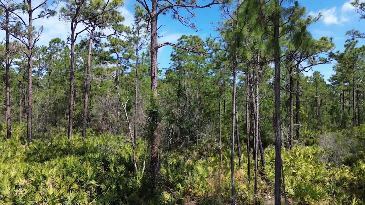 Image 8 of 9 For Apopka Vineland Road