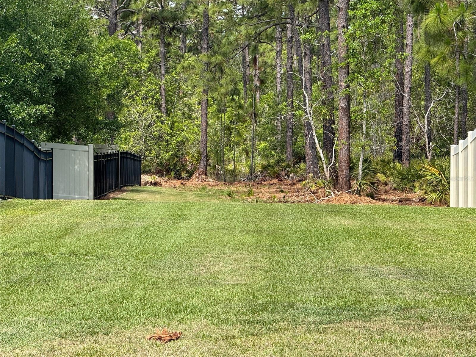 Image 9 of 9 For Apopka Vineland Road