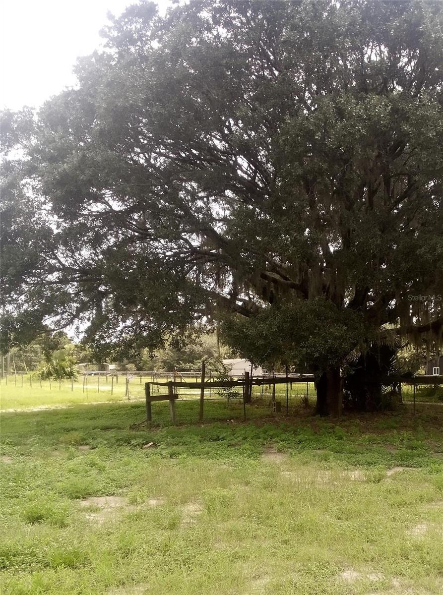 Image 6 of 10 For 17936 95th Street Road