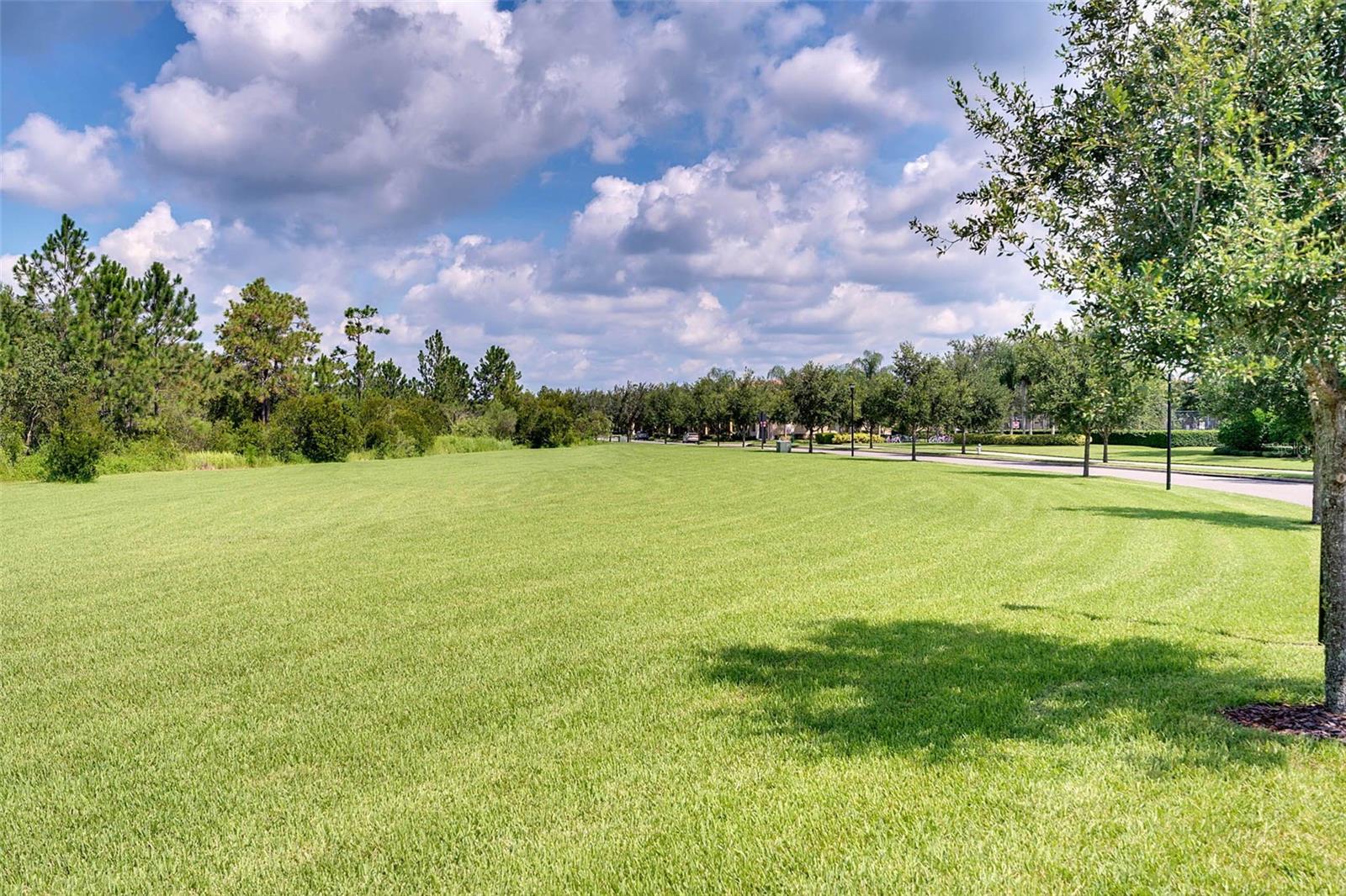 Image 67 of 76 For 11844 Astilbe Drive