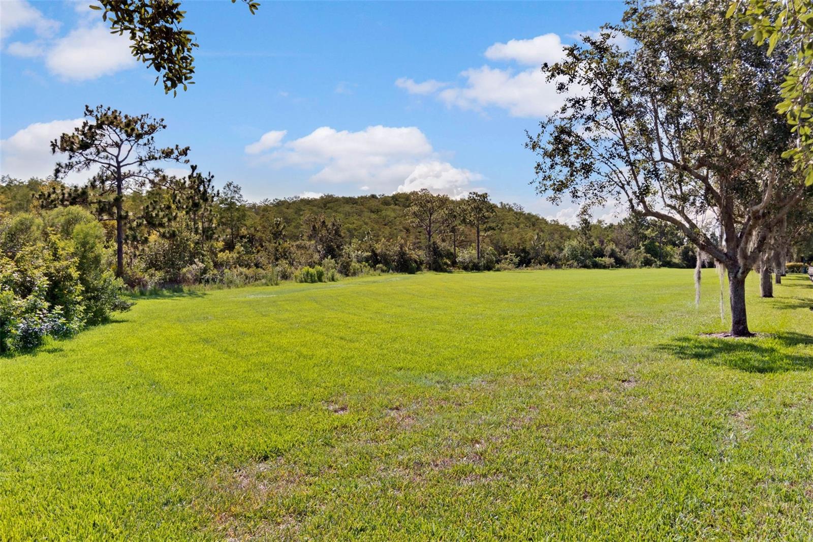 Image 68 of 76 For 11844 Astilbe Drive