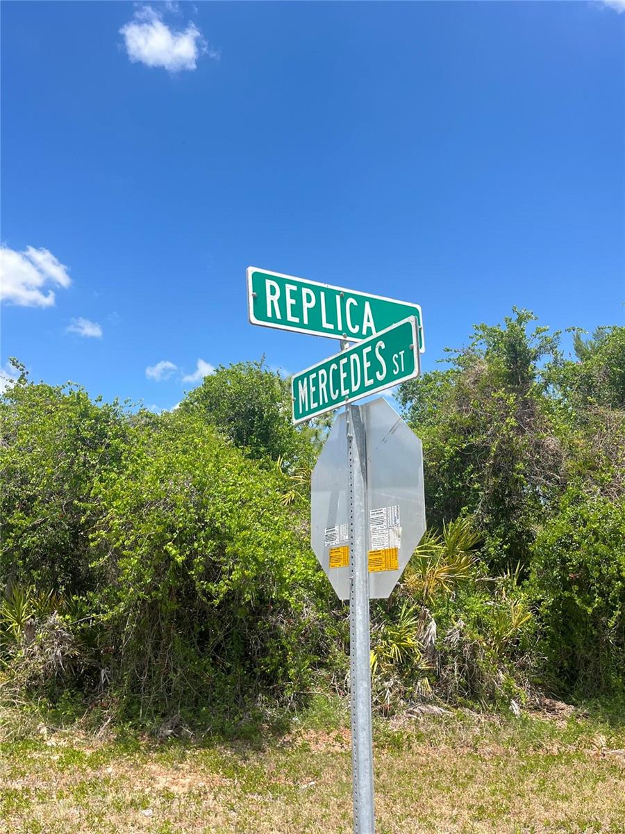 Image 3 of 4 For 901 Replica Avenue
