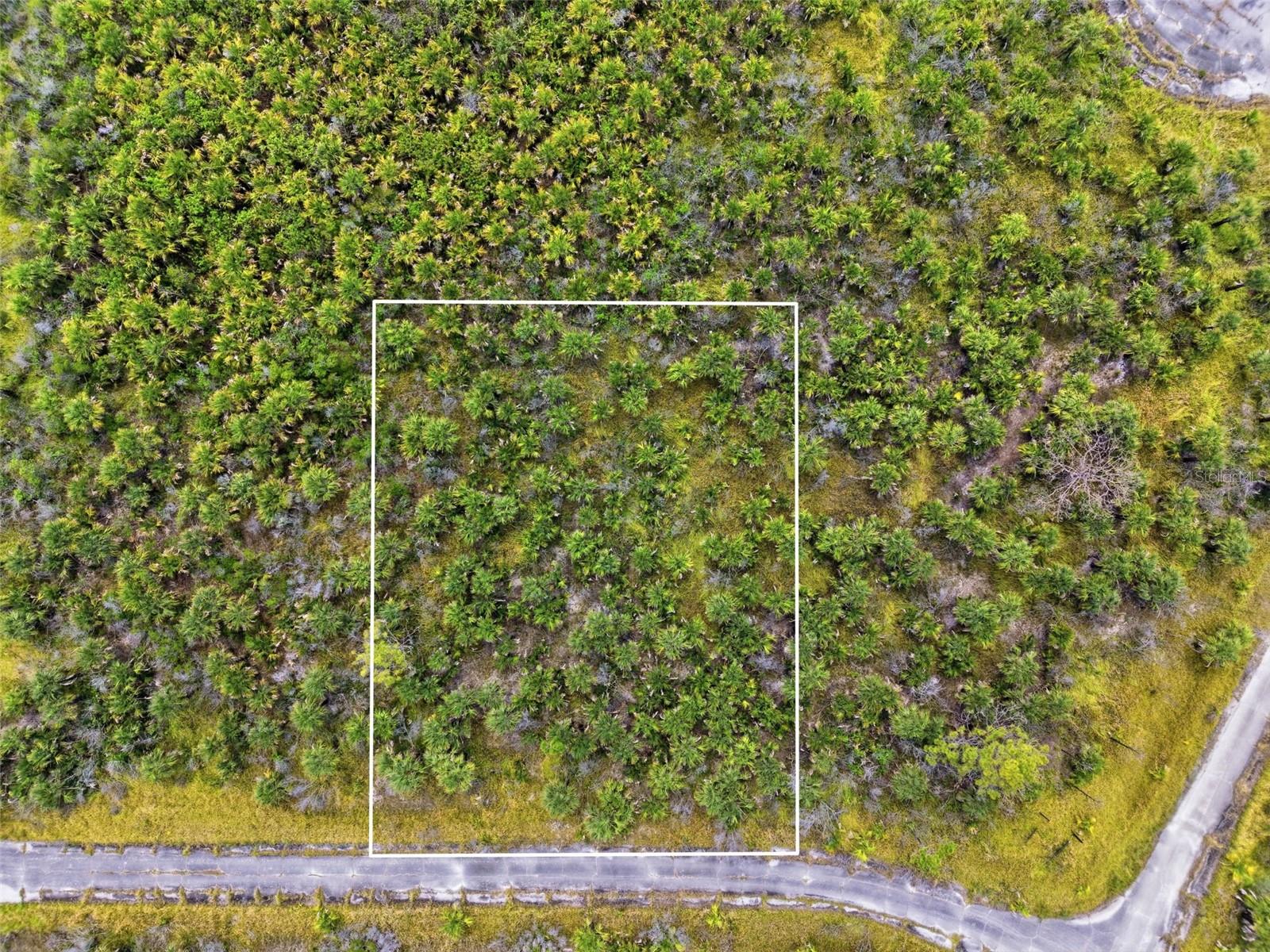 Details for 2806 Flameflower Terrace Sw, PALM BAY, FL 32908