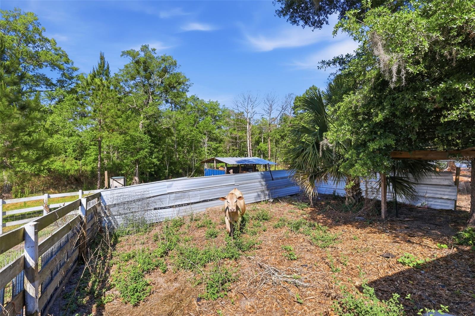Listing photo id 27 for 1898 Blackwelder Road