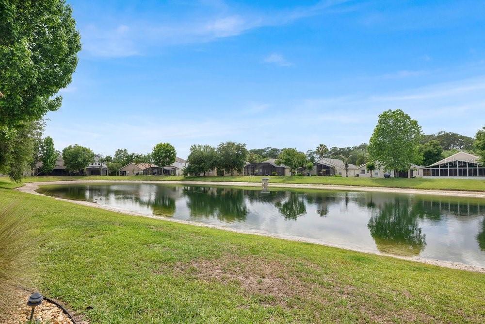 Image 32 of 47 For 9506 Pecky Cypress Way