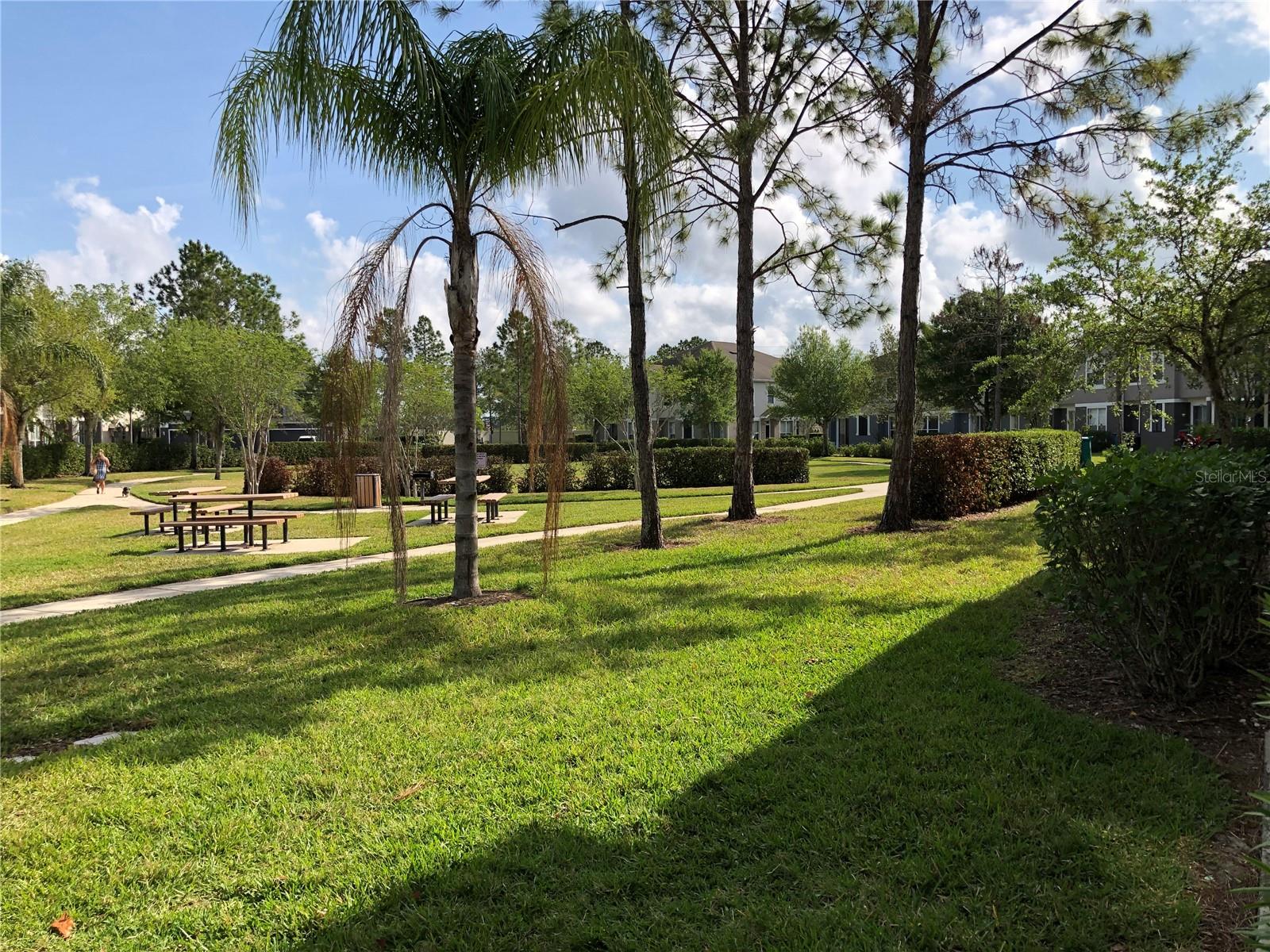 Image 7 of 34 For 6586 Goldenrod Road 91b